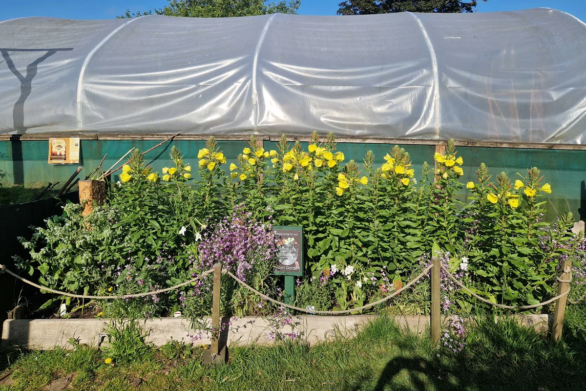 The Moon Garden at Redcatch Community Garden