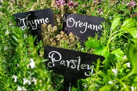 Hardy Labels