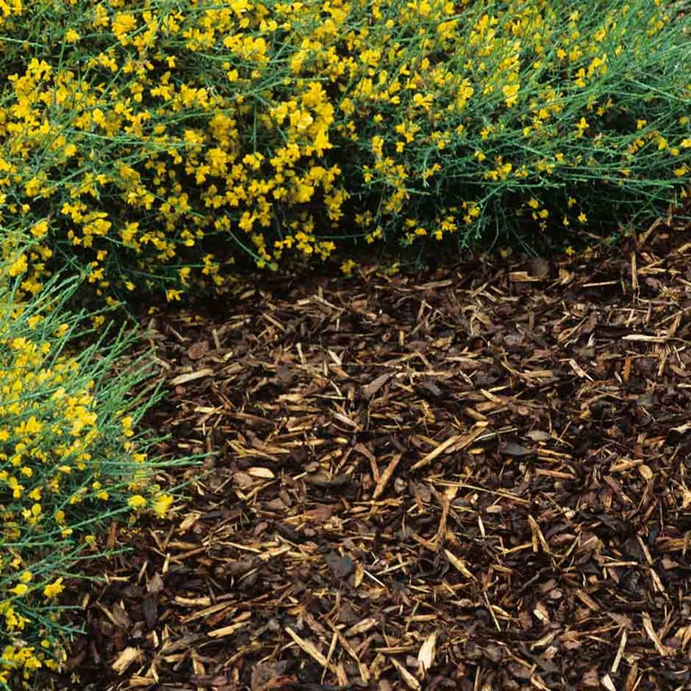 Mulches and mulching