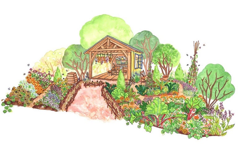 RHS and King's Foundation Curious Garden revealed