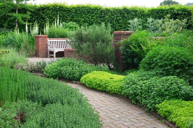Grow your own herbs