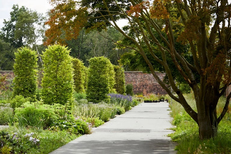 Discover RHS Garden Bridgewater, our spectacular garden in Salford