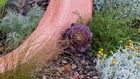 Thumbnail for slide 2