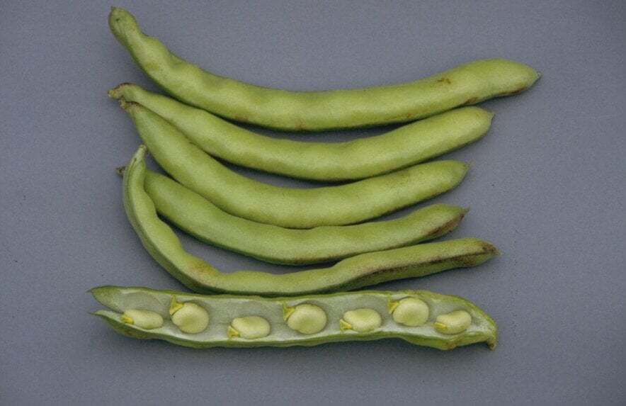 ‘Aquadulce Claudia’ AGM