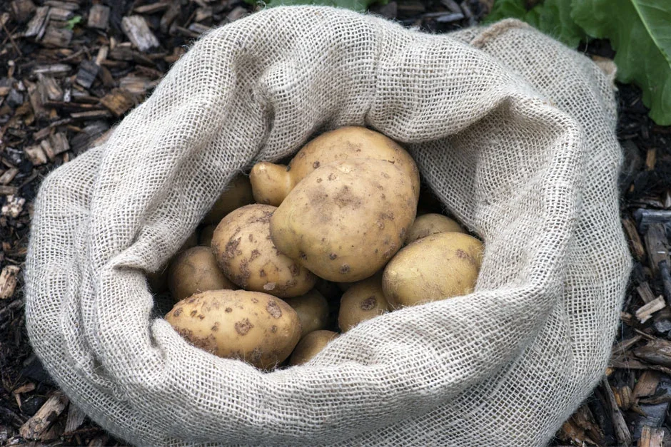 Potatoes