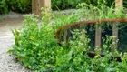 Thumbnail for slide 3