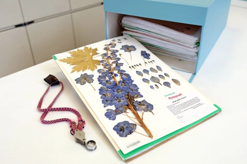 RHS Herbarium