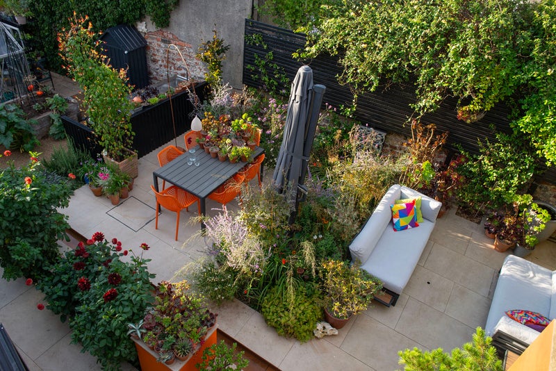 Aerial shot of Steve's Garden in Brighton