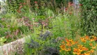 Thumbnail for slide 3