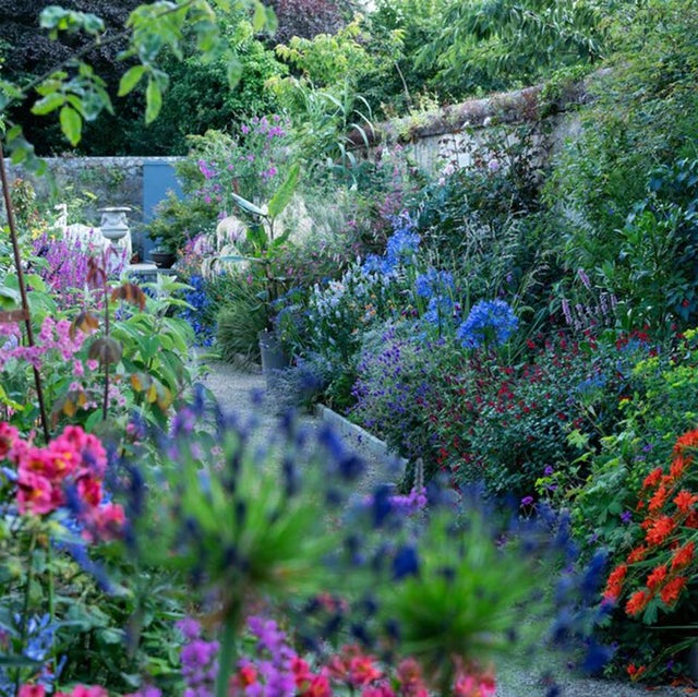 Helen Dillon’s Garden in Dublin