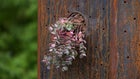 Thumbnail for slide 3