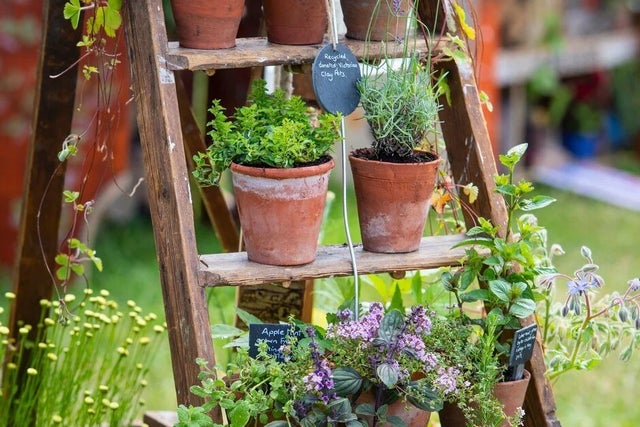 Gardening for the environment