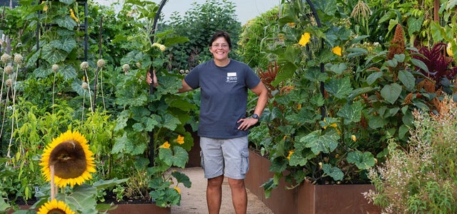 The magic of soil
