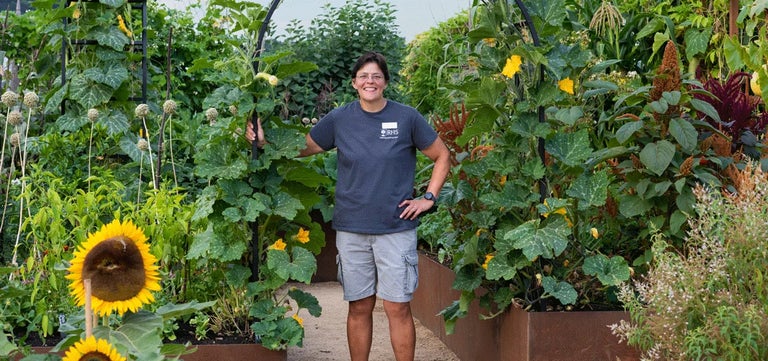 The magic of soil – and de-mystifying no-dig