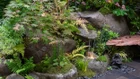 Thumbnail for slide 4