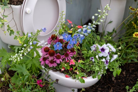 A toilet with flowers in it