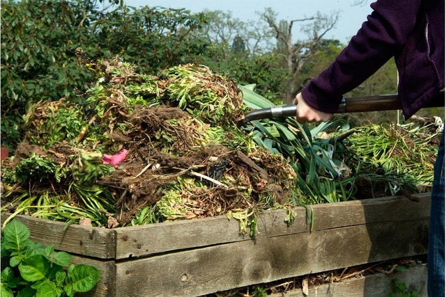 10 steps to sustainable gardening