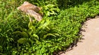 Thumbnail for slide 4