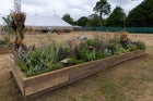 Thumbnail: Growing with Many Hands