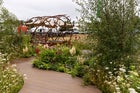 Thumbnail: Mindful Meadowlands
