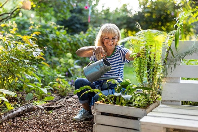 See what the RHS does as a gardening charity