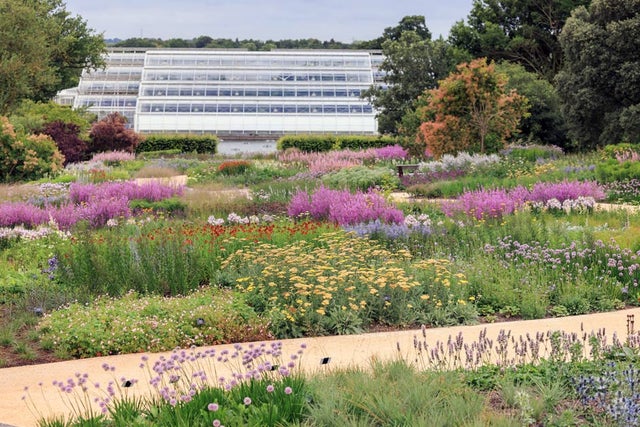 Oudolf Landscape at RHS Garden Wisley
