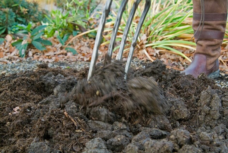 How to reuse spent compost | RHS Advice
