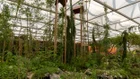 Thumbnail for slide 1