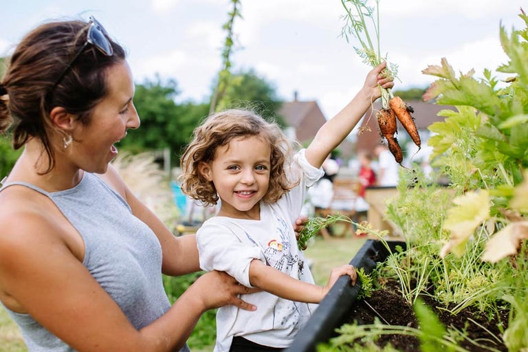 How you can support the RHS, the UK’s garden charity