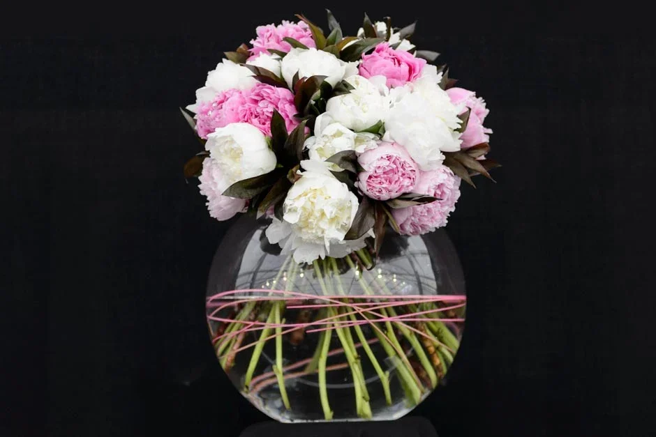 Primrose Hall Peonies