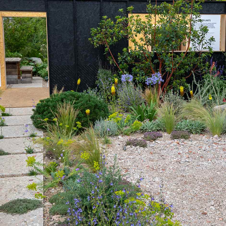 Tom Massey’s garden at RHS Hampton Court incorporates plants and parking