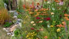 Thumbnail for slide 3