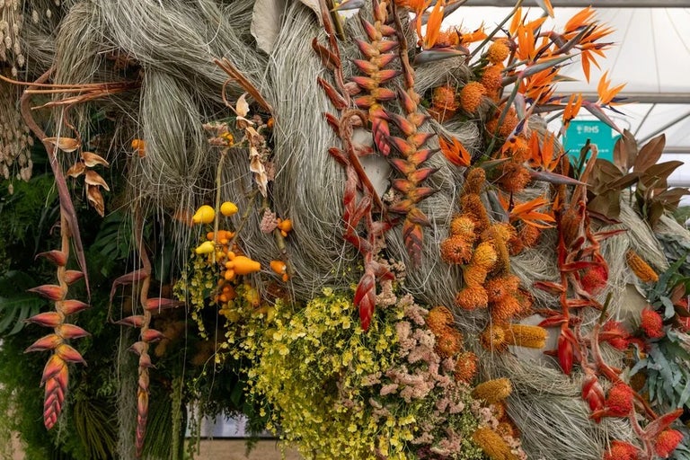 Discover the highlights of RHS Chelsea