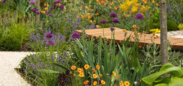 Seven star plants at RHS Malvern Spring Festival 2025