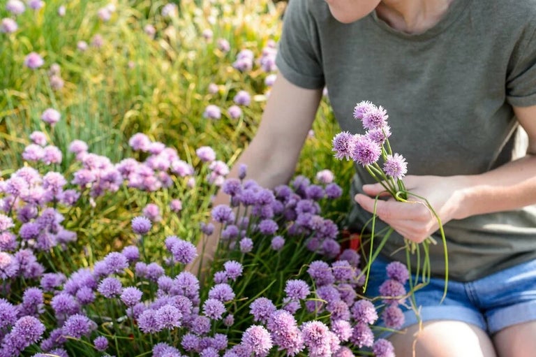 Gardening for health and wellbeing
