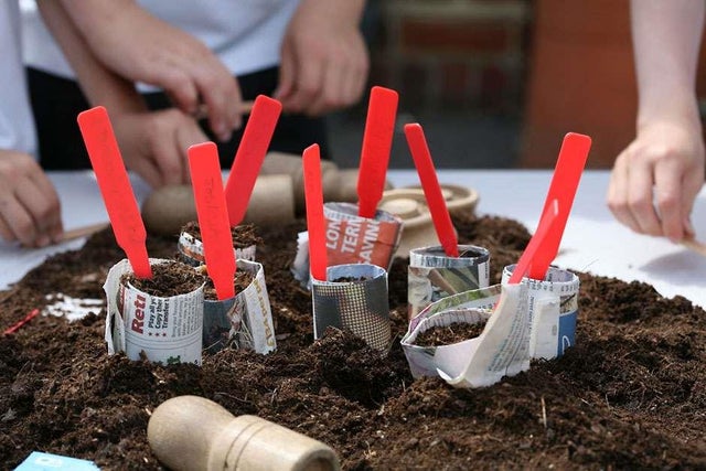 RHS Campaign for School Gardening