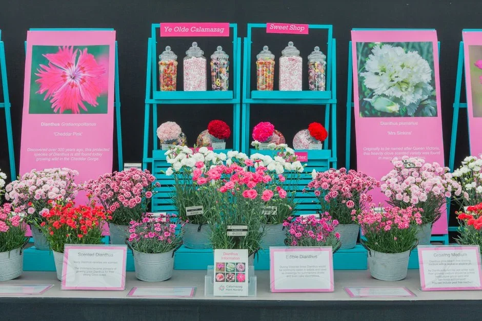 Calamazag Nursery