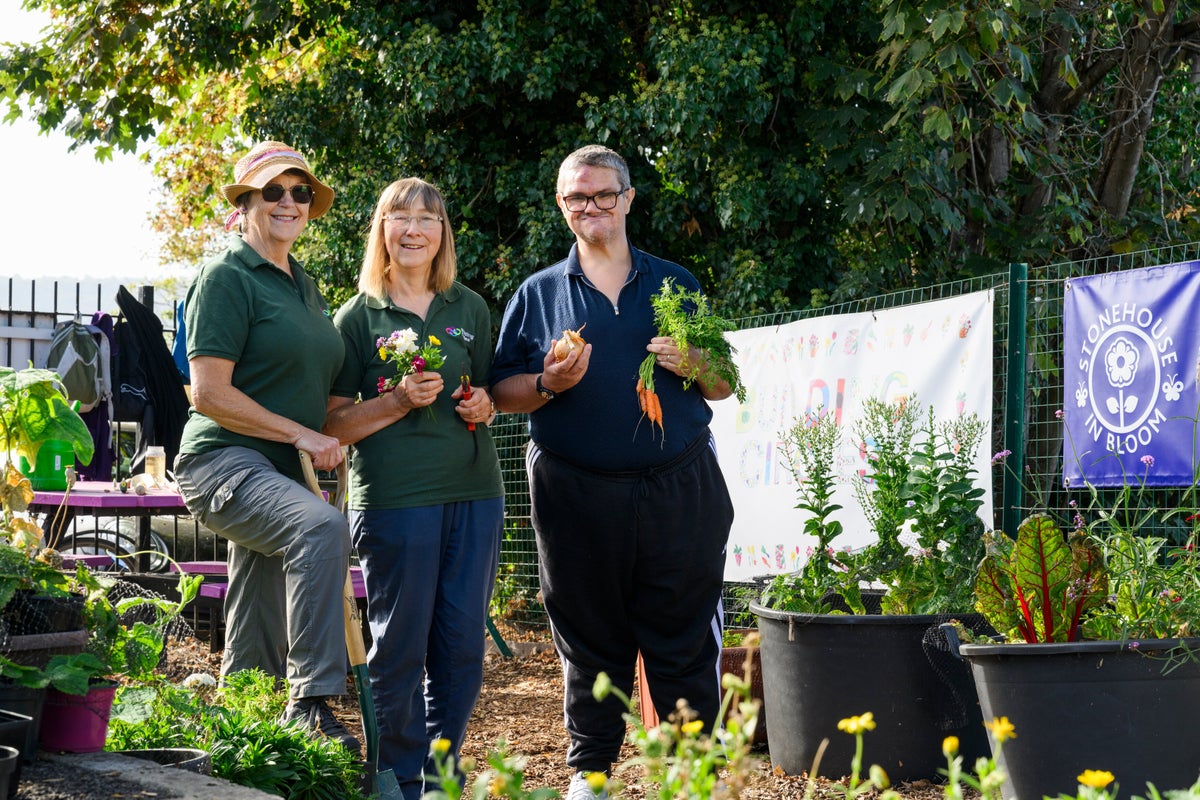 Volunteers in Stonehouse's community allotment
