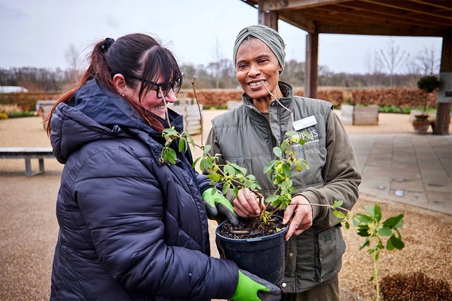 Gardening for health and wellbeing