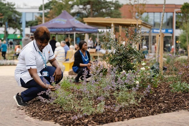Colchester Wellbeing Garden