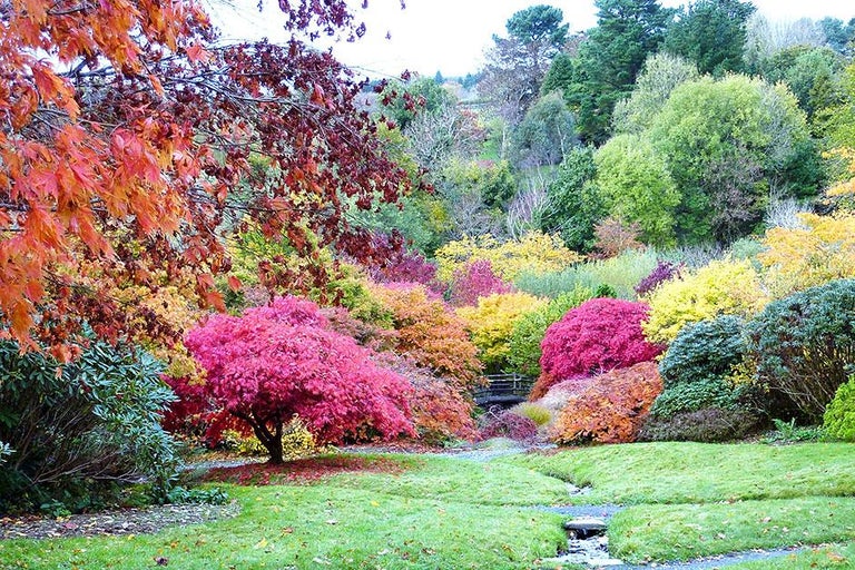 Visit a garden near you