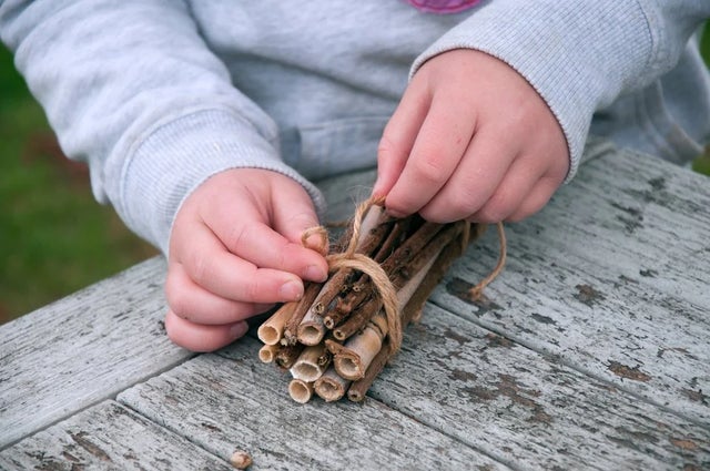 Discover our family-friendly activities