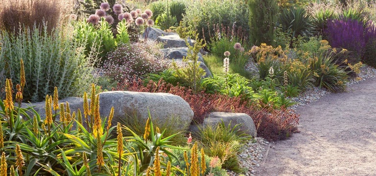 What can I do about climate change in my garden?