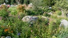 Thumbnail for slide 1