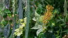 Thumbnail for slide 4