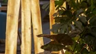 Thumbnail for slide 3
