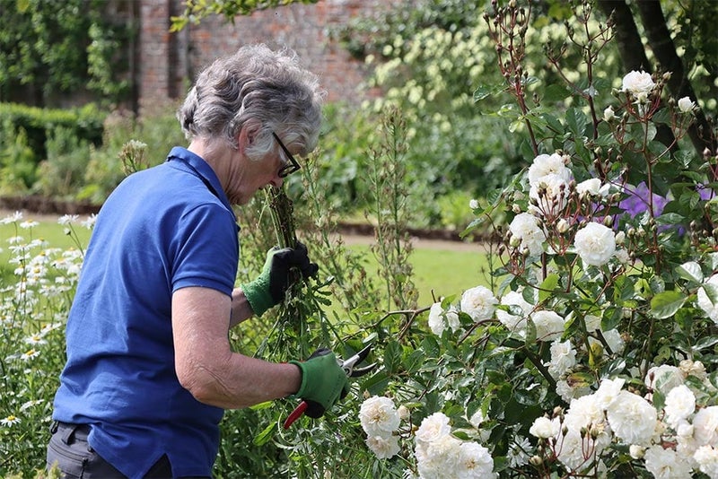 Helmsley Walled Garden, North Yorkshire