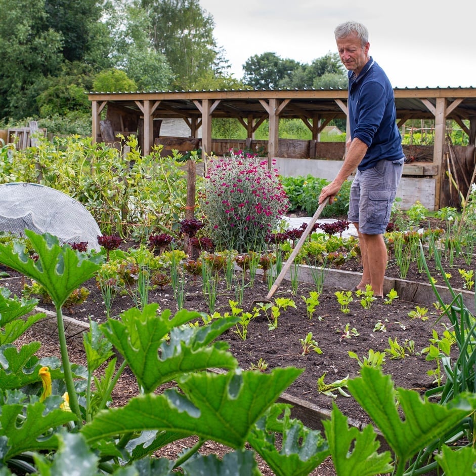 No-Dig Gardening | RHS Advice