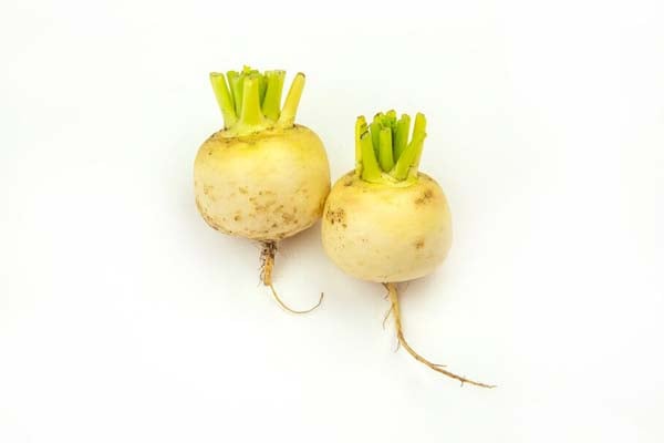 ‘Tokyo Cross’ AGM