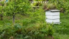 Thumbnail for slide 4